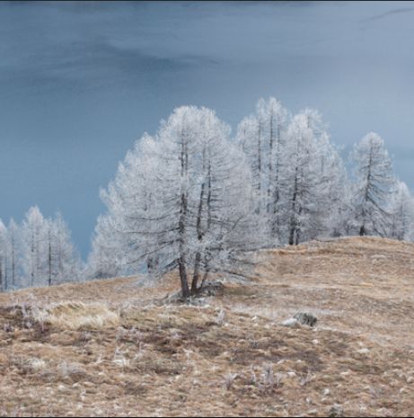 Photographie de Stéphanie Foäche - Toupies blanches, Alpes, 2014